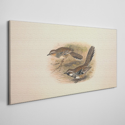 Birds in a delicate setting Canvas print