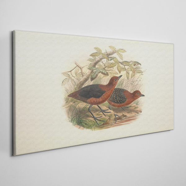 Birds in their natural habitat Canvas print