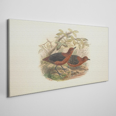 Birds in their natural habitat Canvas print