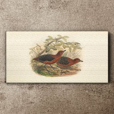 Birds in their natural habitat Canvas print