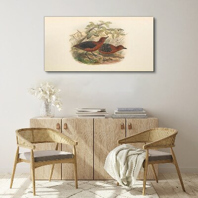 Birds animals Canvas print