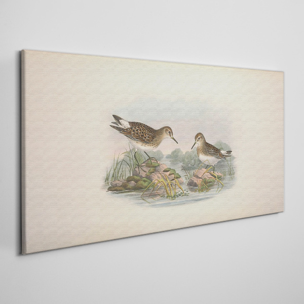 Birds by the pond in pastel colors Canvas print