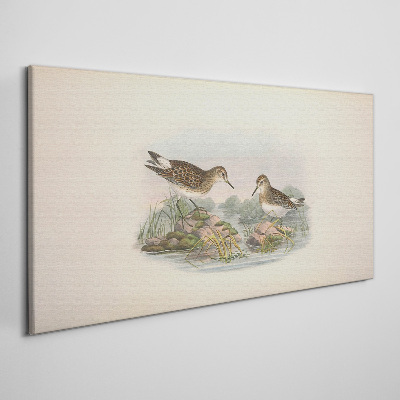 Birds by the pond in pastel colors Canvas print