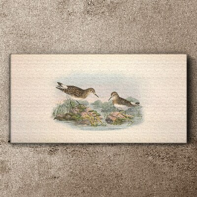Birds by the pond in pastel colors Canvas print