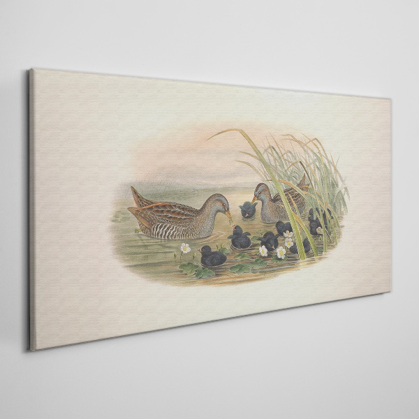 Duck families in a water environment Canvas print