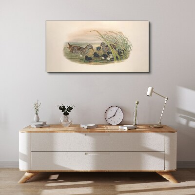 Duck families in a water environment Canvas print