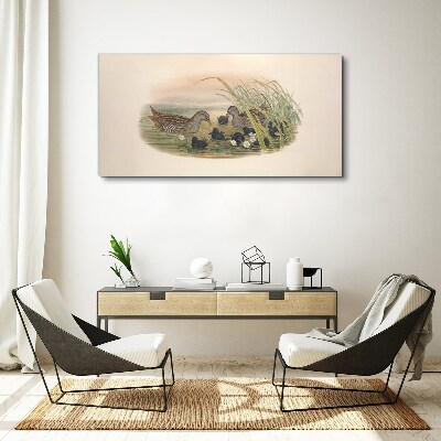 Duck families in a water environment Canvas print