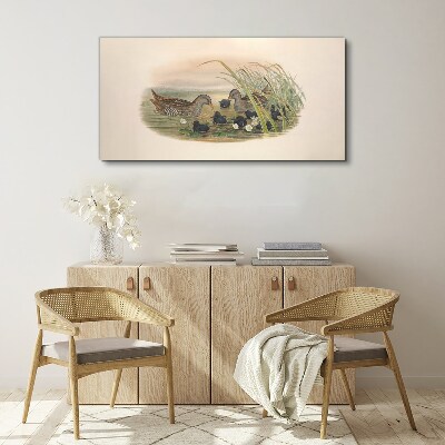 Duck families in a water environment Canvas print