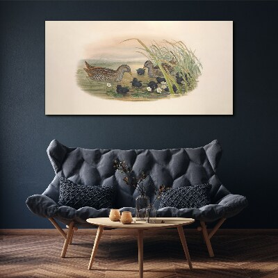 Duck families in a water environment Canvas print