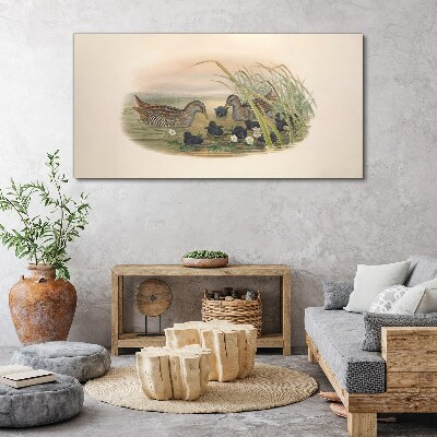 Duck families in a water environment Canvas print