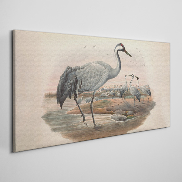 Lapwing on the water background Canvas print