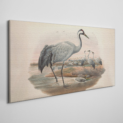 Lapwing on the water background Canvas print