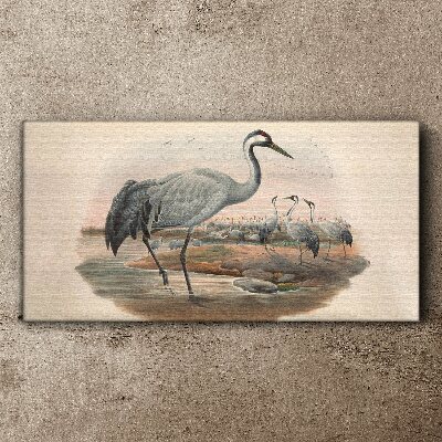 Lapwing on the water background Canvas print