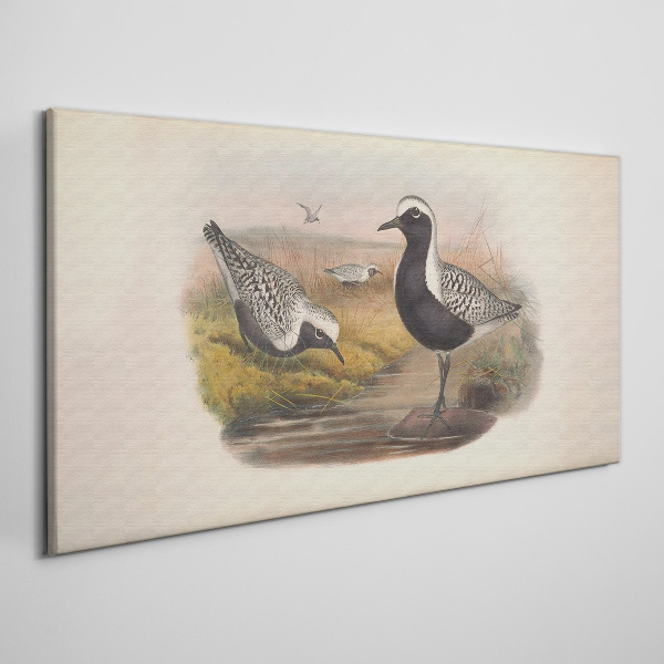 Birds in their natural habitat Canvas print