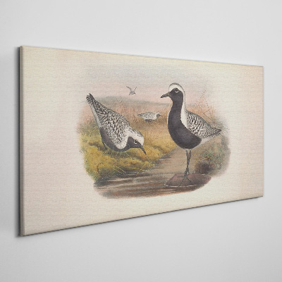 Birds animals Canvas print