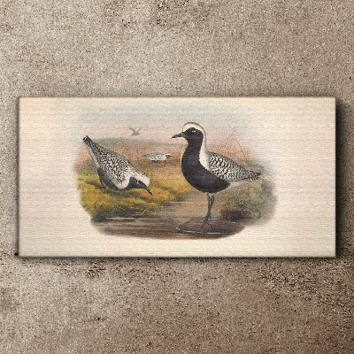 Birds in their natural habitat Canvas print