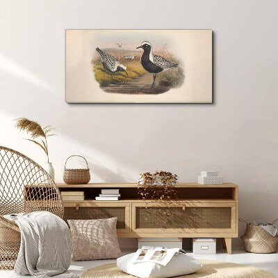 Birds in their natural habitat Canvas print
