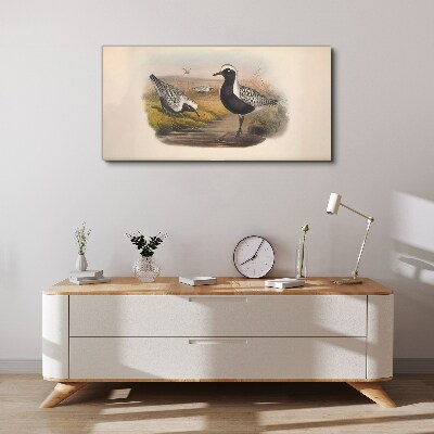 Birds in their natural habitat Canvas print