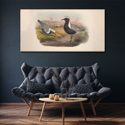 Birds in their natural habitat Canvas print