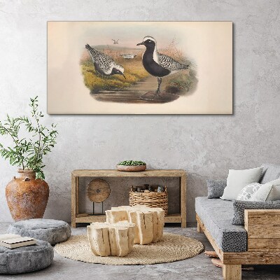 Birds animals Canvas print