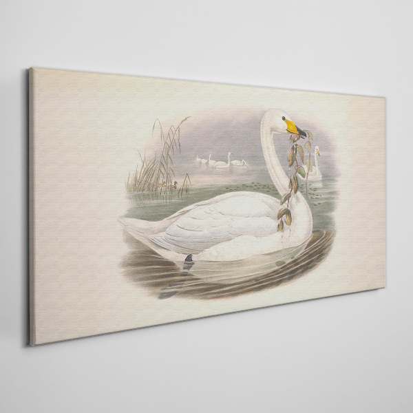 Swan with a branch Canvas print
