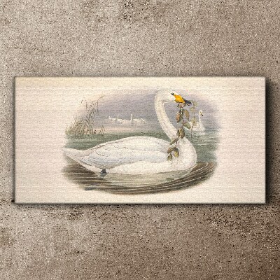 Swan with a branch Canvas print