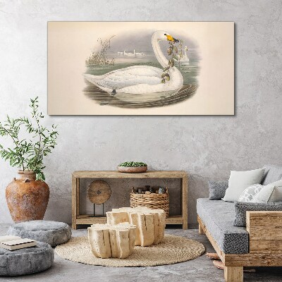 Swan with a branch Canvas print