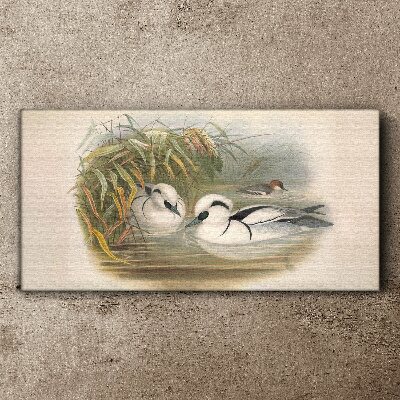An idyllic duet among the grasses Canvas print
