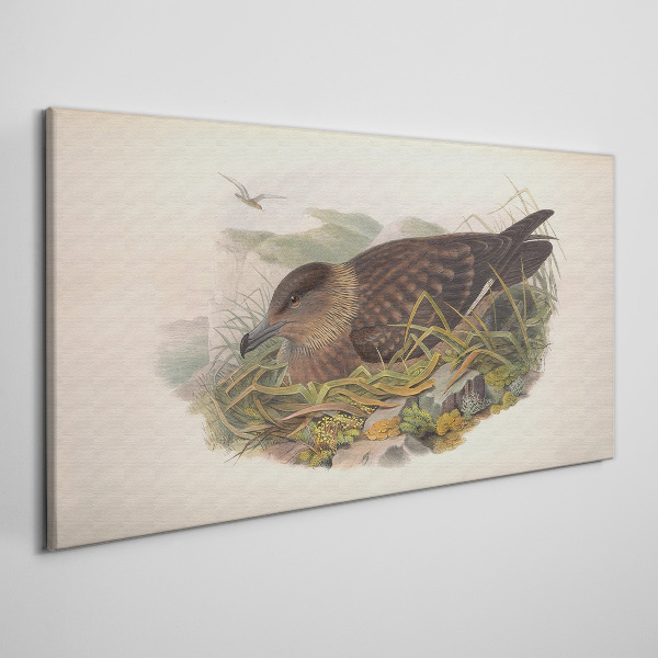 A bird's nest in its natural surroundings Canvas print