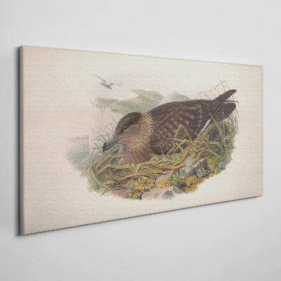 A bird's nest in its natural surroundings Canvas print