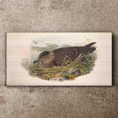 Animals birds beige Canvas print