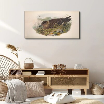 A bird's nest in its natural surroundings Canvas print