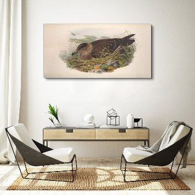 Animals birds beige Canvas print