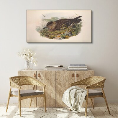 Animals birds beige Canvas print