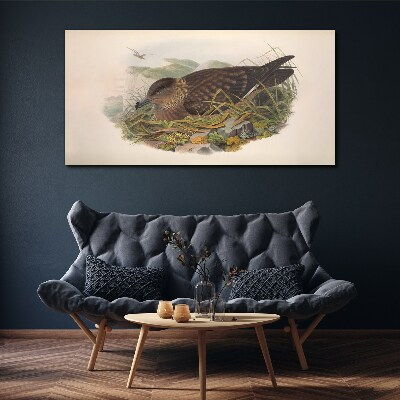 Animals birds beige Canvas print