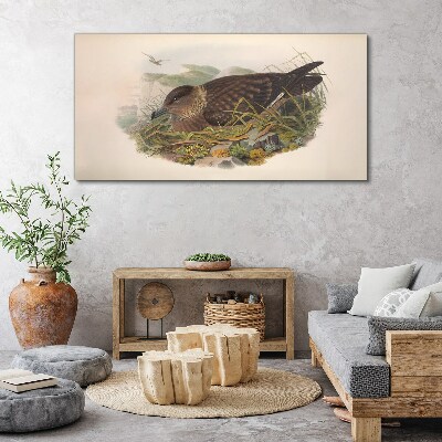 A bird's nest in its natural surroundings Canvas print