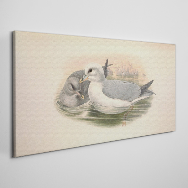 Seabirds in the calm water Canvas print