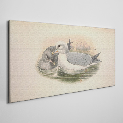 Seabirds in the calm water Canvas print
