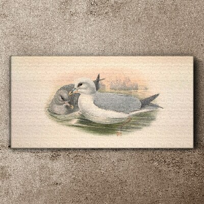 Seabirds in the calm water Canvas print