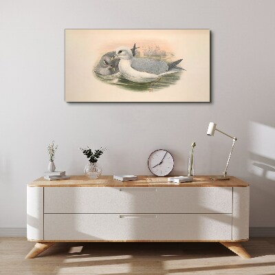 Seabirds in the calm water Canvas print