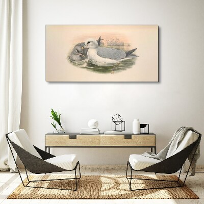 Seabirds in the calm water Canvas print