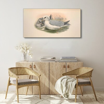 Seabirds in the calm water Canvas print