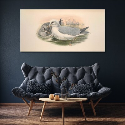 Seabirds in the calm water Canvas print