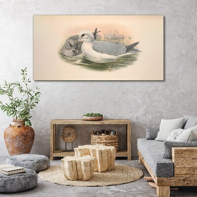 Seabirds in the calm water Canvas print