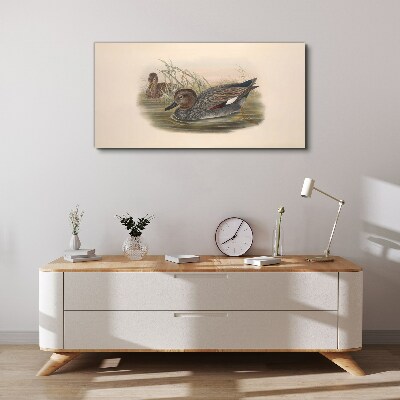 Ducks calm in their natural surroundings Canvas print
