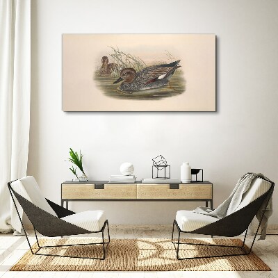 Ducks calm in their natural surroundings Canvas print