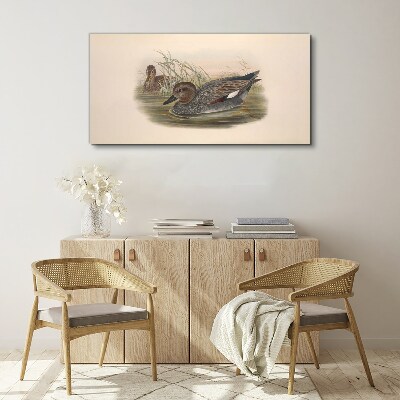Ducks calm in their natural surroundings Canvas print
