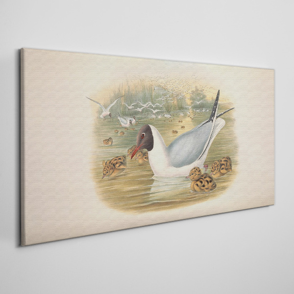 Seagull with young in the water Canvas print
