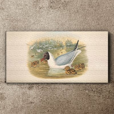 Seagull with young in the water Canvas print