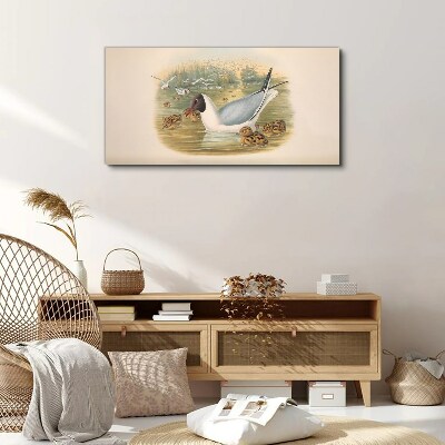 Seagull with young in the water Canvas print